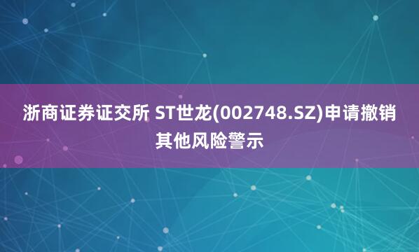 浙商证券证交所 ST世龙(002748.SZ)申请撤销其他风险警示