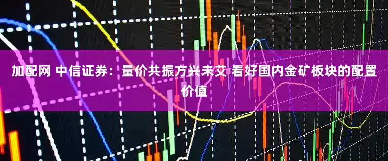 加配网 中信证券：量价共振方兴未艾 看好国内金矿板块的配置价值