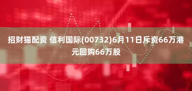 招财猫配资 信利国际(00732)6月11日斥资66万港元回购66万股