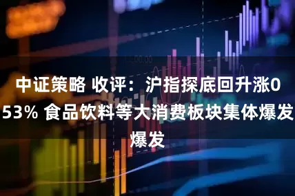 中证策略 收评：沪指探底回升涨053% 食品饮料等大消费板块集体爆发
